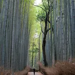 Stay Marutamachi